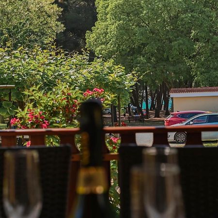 Casa Luisa Daire Poreč Dış mekan fotoğraf